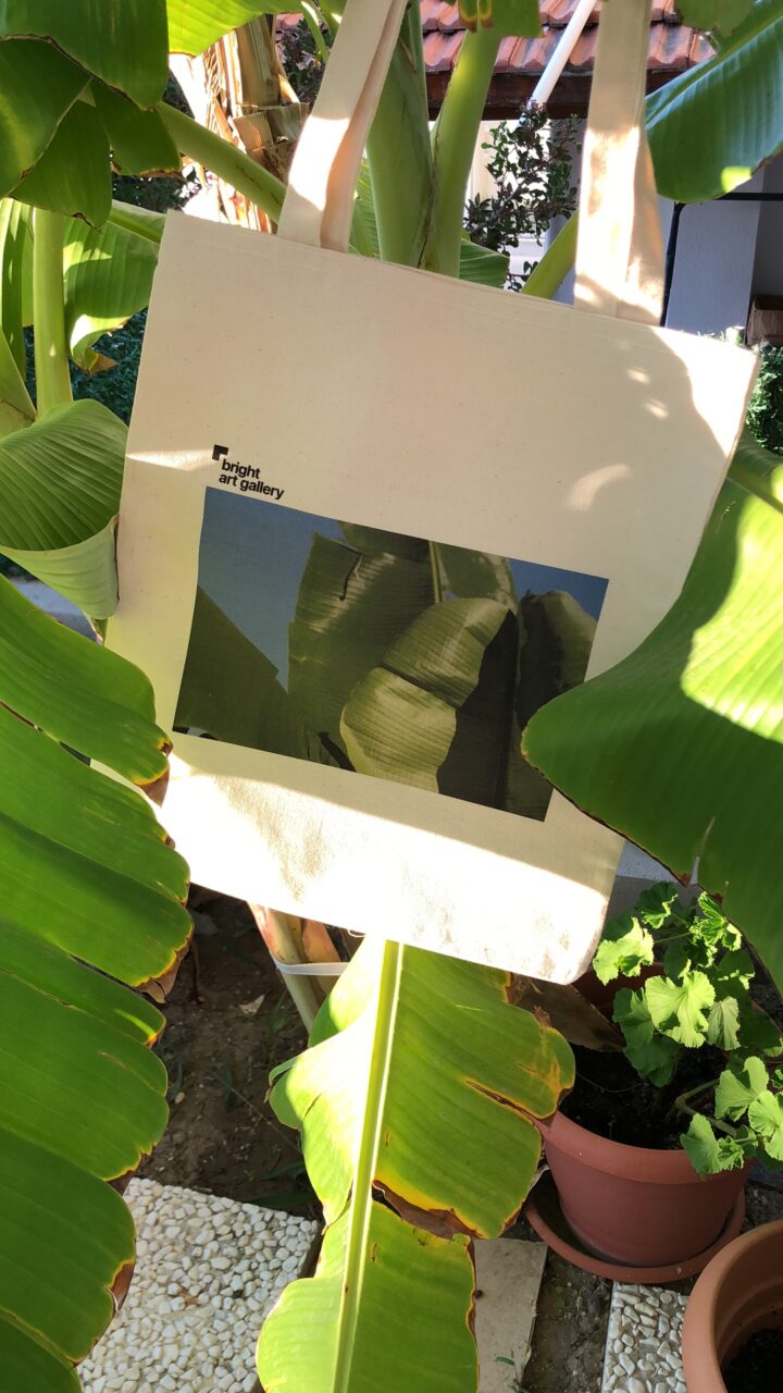 Tote Bag 2