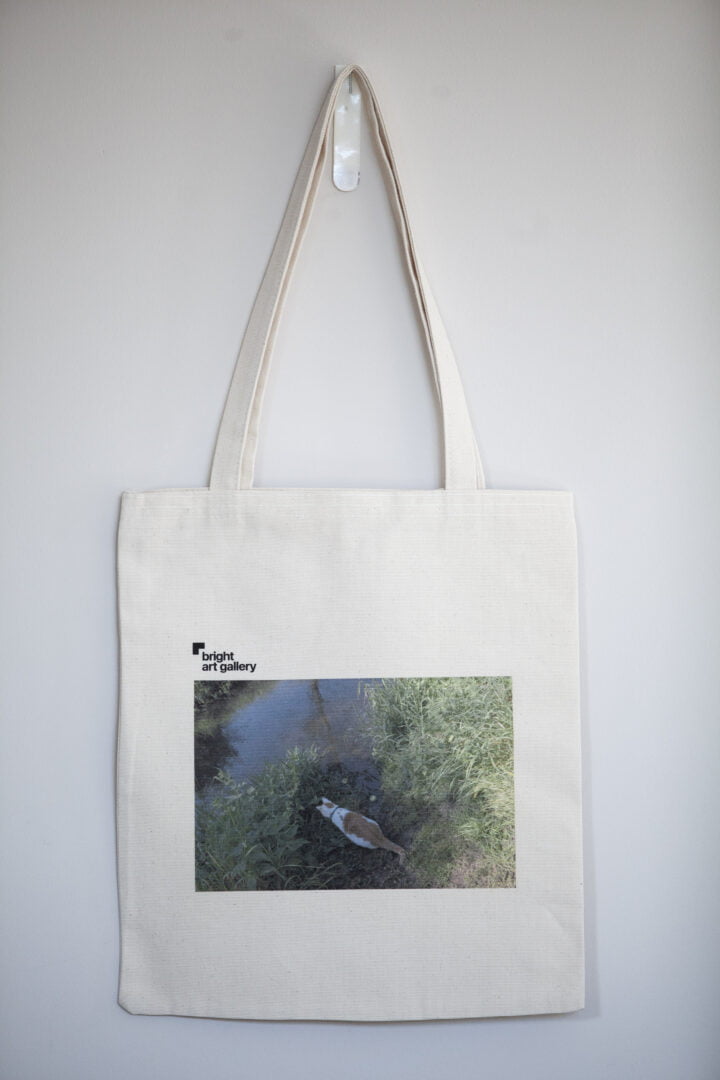 Tote Bag 7